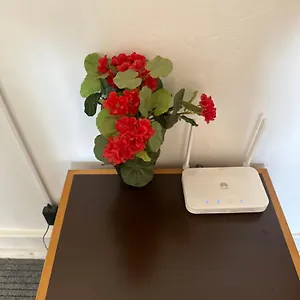 Guest house Rose View, Lisbon